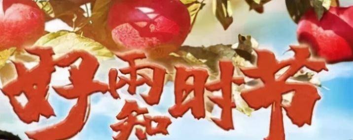 下乡题材电视剧哪个好看(有老戏骨出演的乡村电视剧)-图片9